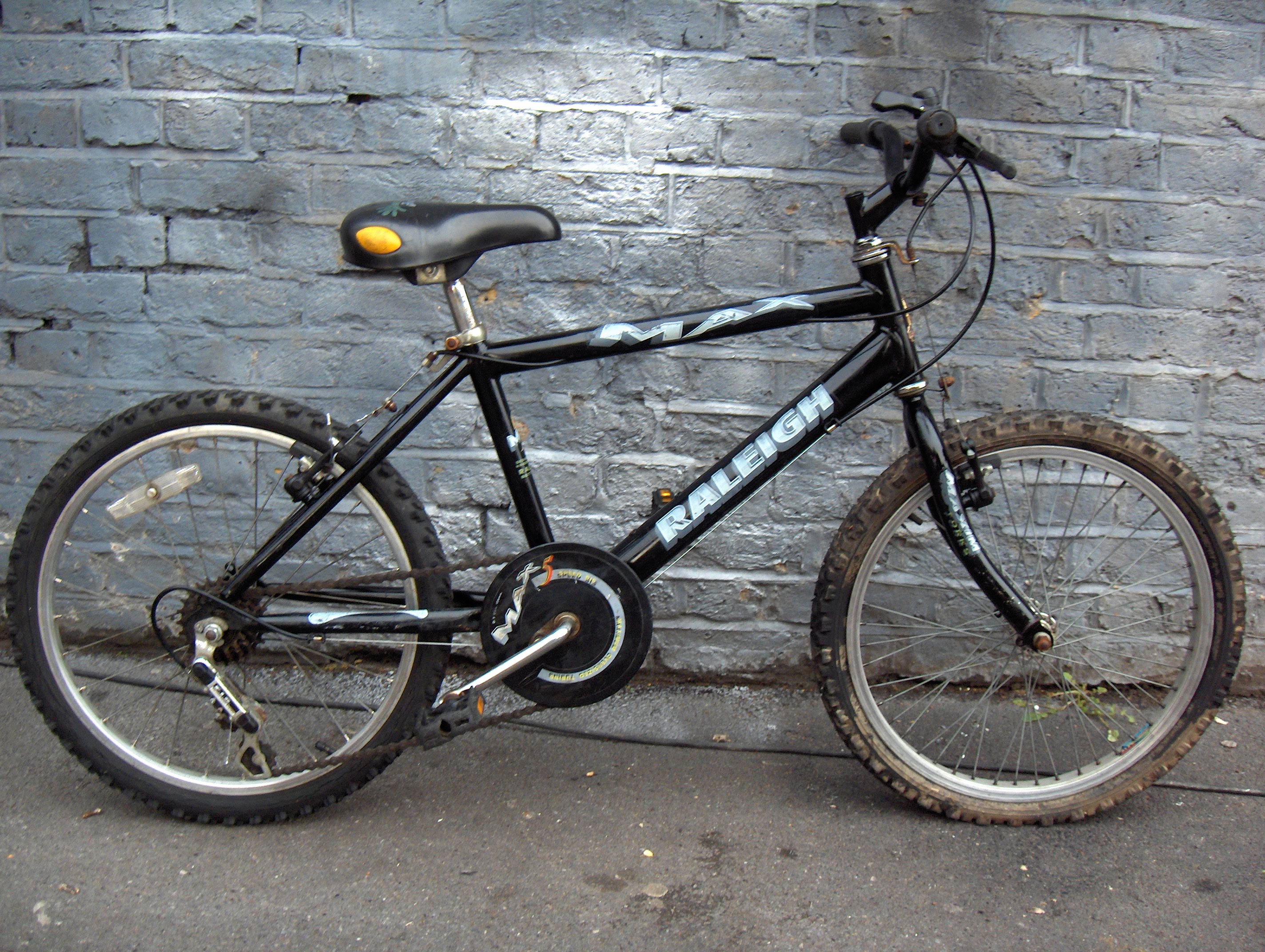 Raliegh max 20"