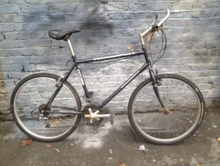 ridgeback mountain sport