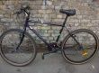 Raleigh Ascender