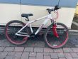 Scorpion Cult Mountain Bicycle